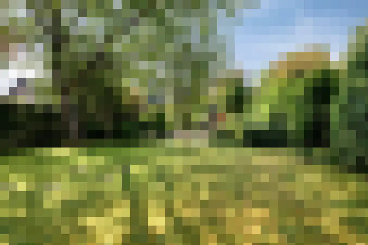 Weldam 5 Eindhoven thumbnail 22