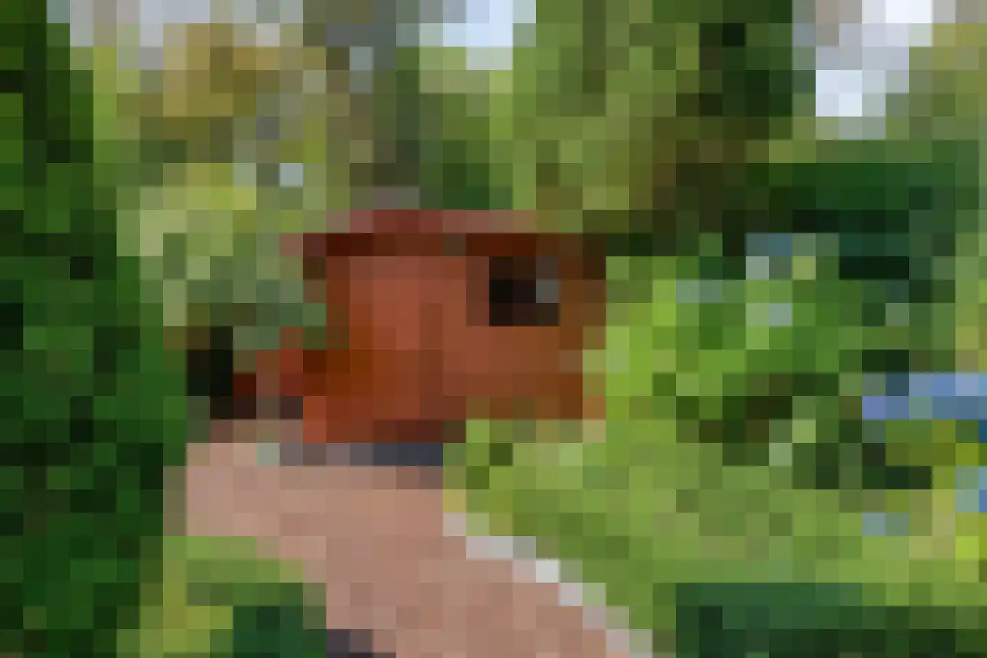 Weldam 5 Eindhoven thumbnail 23