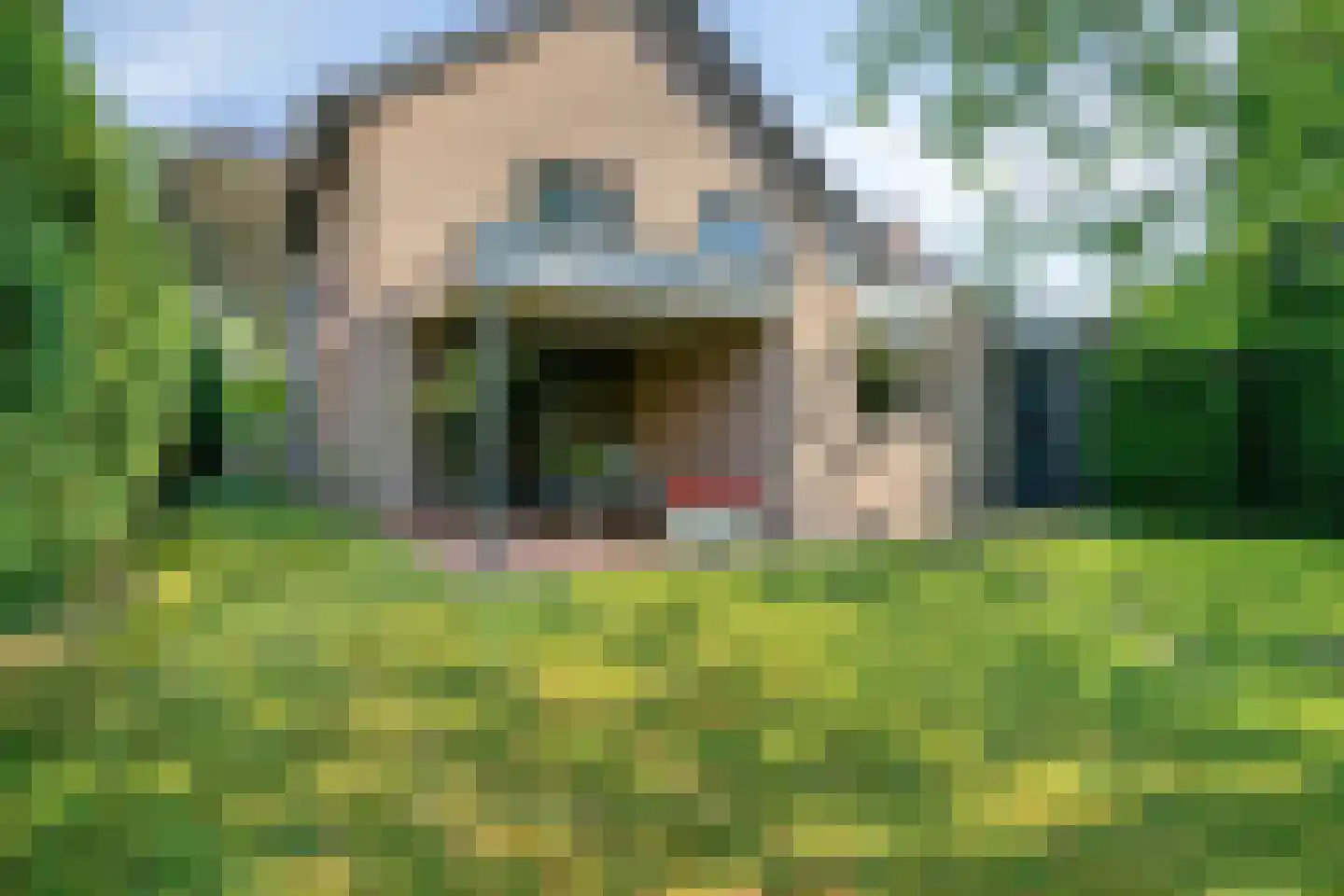 Weldam 5 Eindhoven thumbnail 25