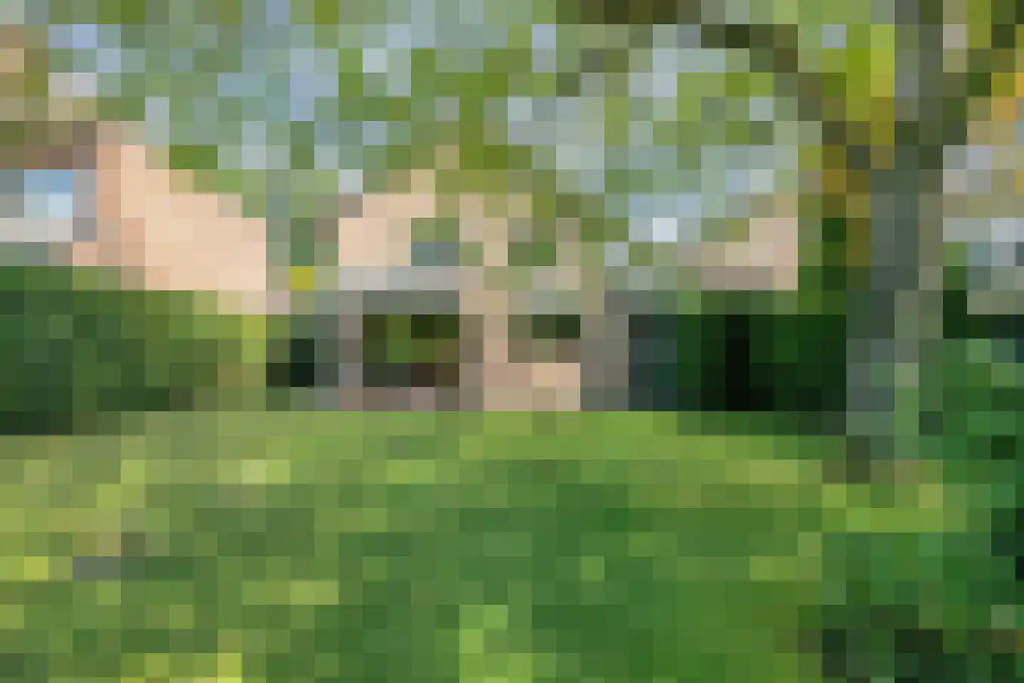 Weldam 5 Eindhoven thumbnail 26