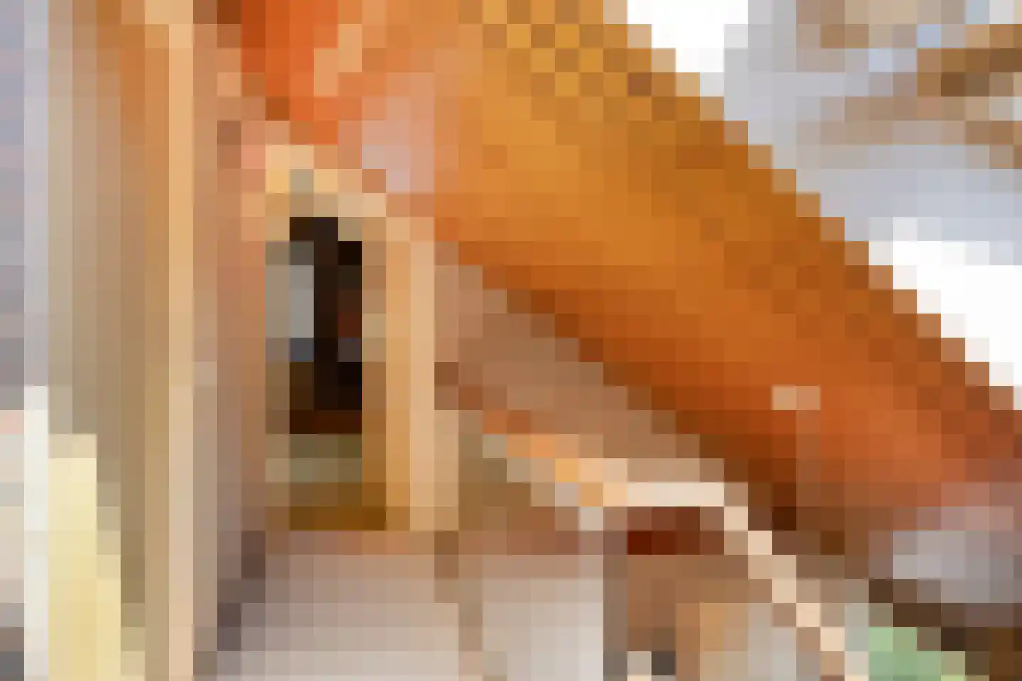 Weldam 5 Eindhoven thumbnail 41