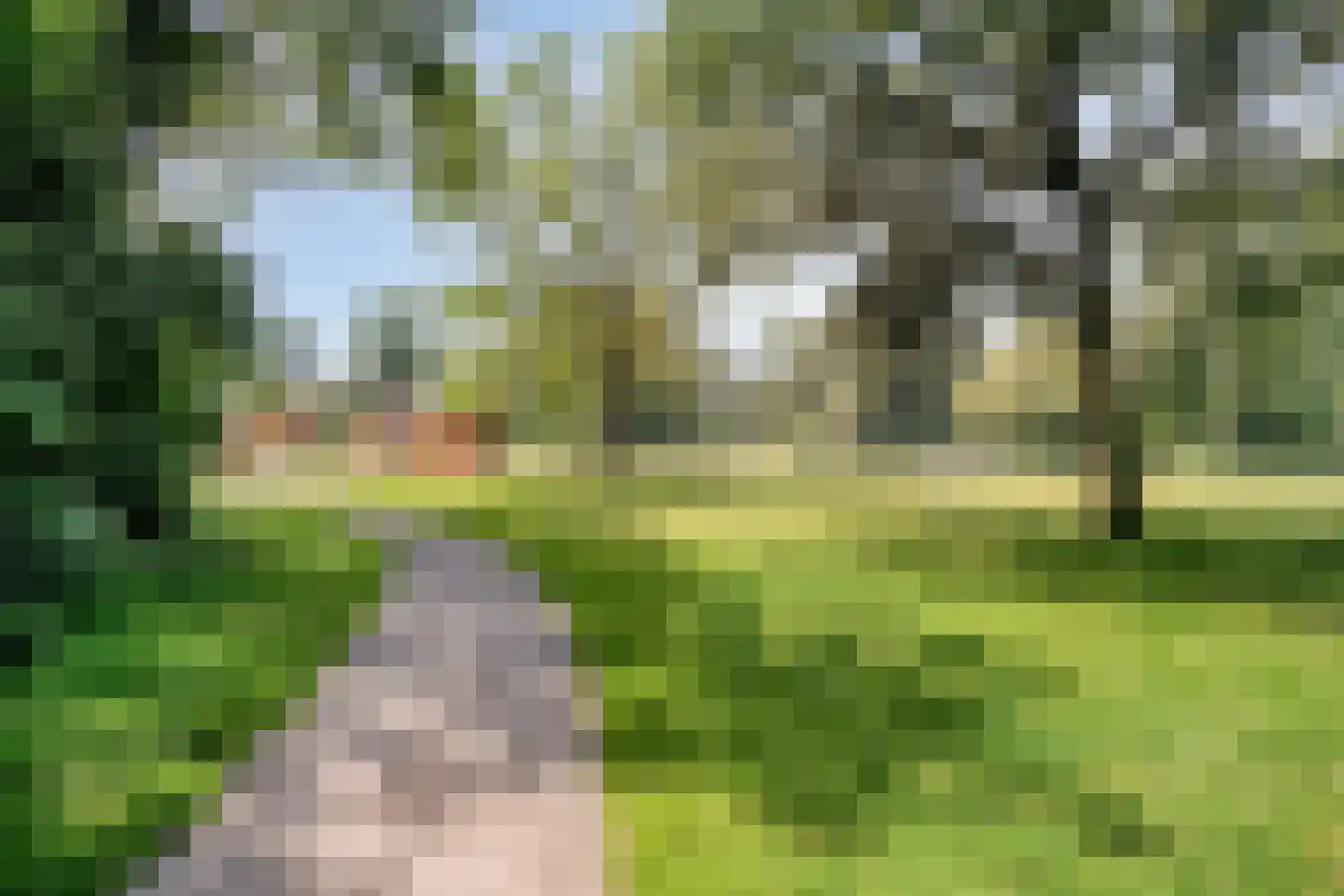 Weldam 5 Eindhoven thumbnail 46