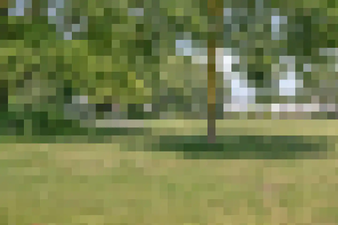 Weldam 5 Eindhoven thumbnail 49