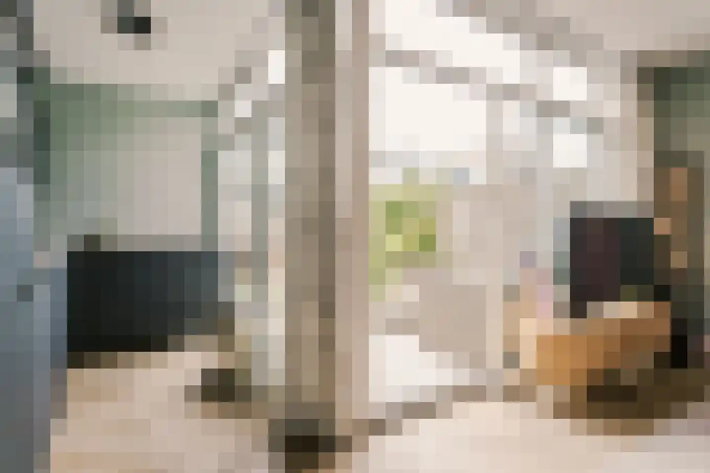 Weldam 72 Haarlem thumbnail 13