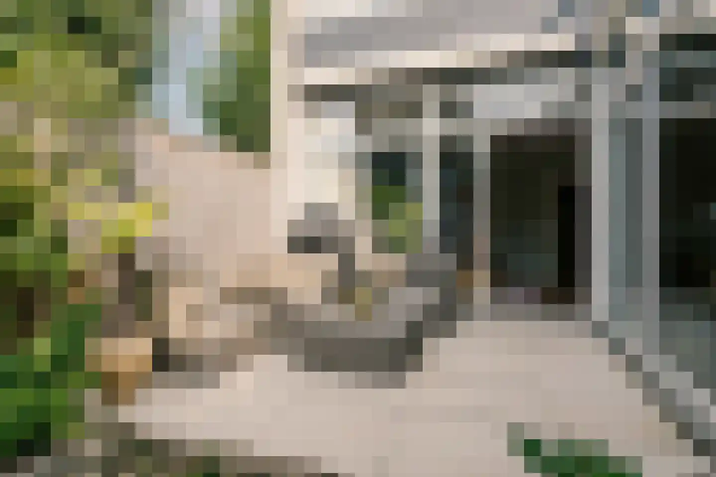 Weldam 72 Haarlem thumbnail 15