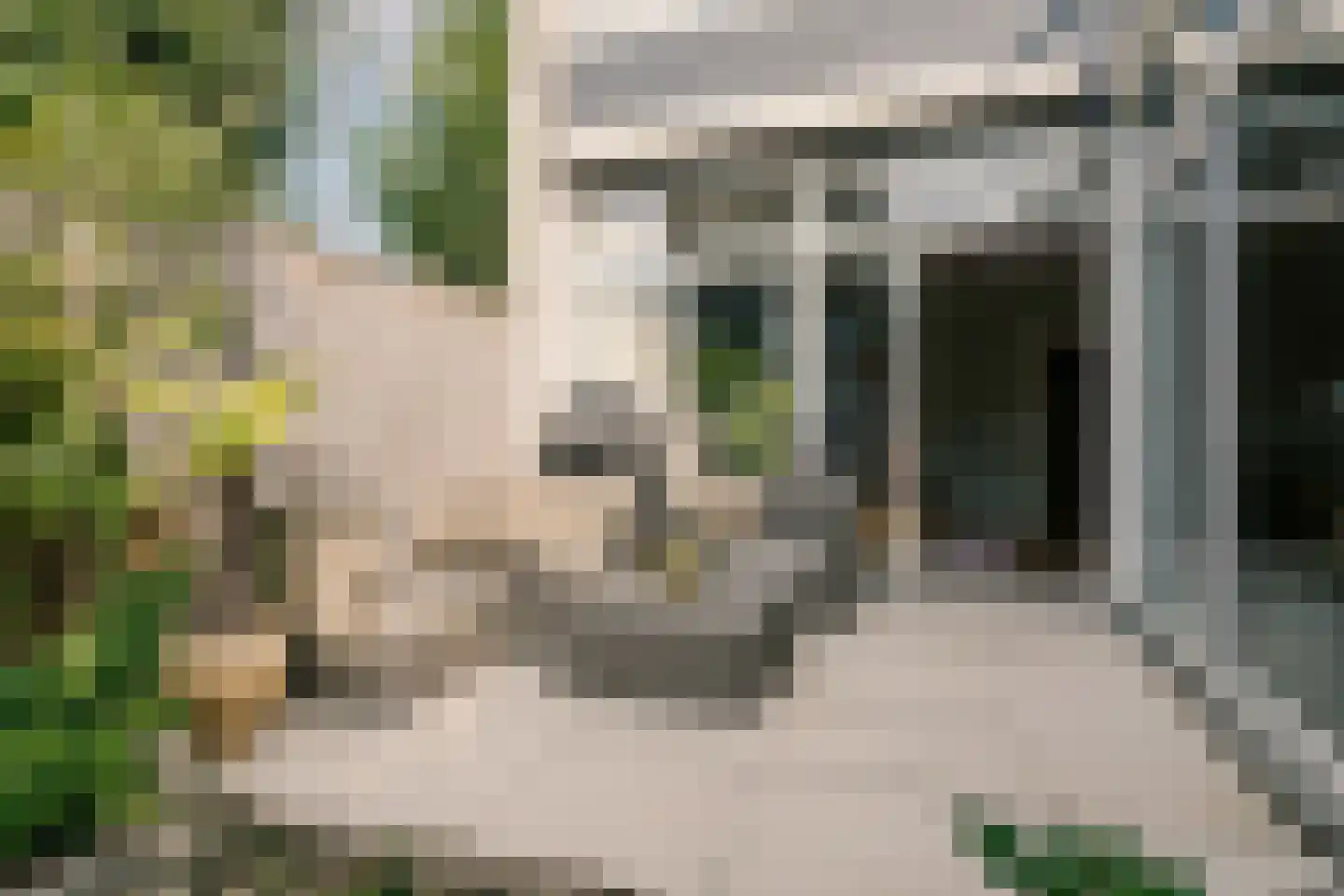 Weldam 72 Haarlem thumbnail 16