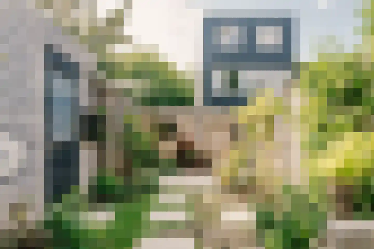 Weldam 72 Haarlem thumbnail 17