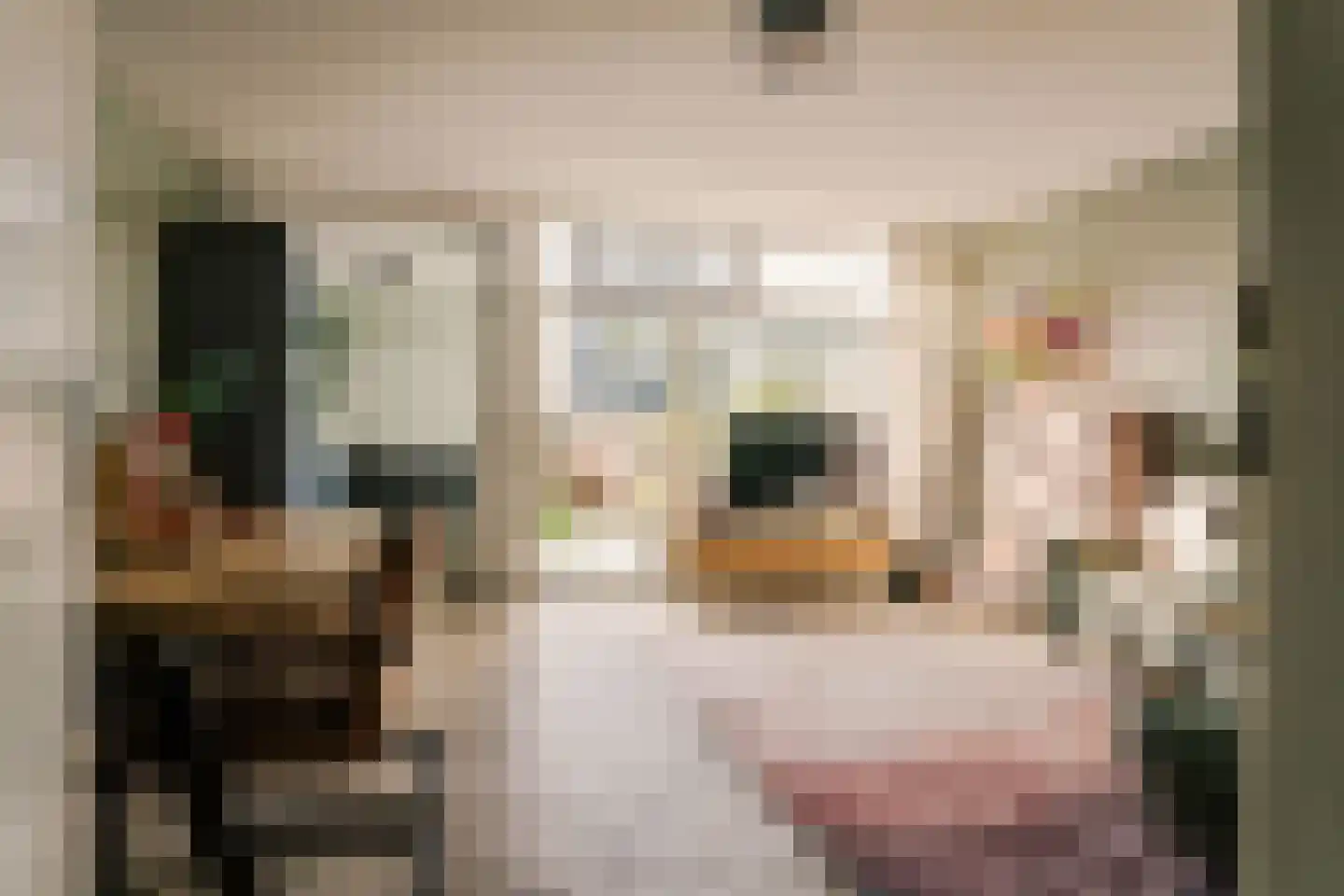 Weldam 72 Haarlem thumbnail 7