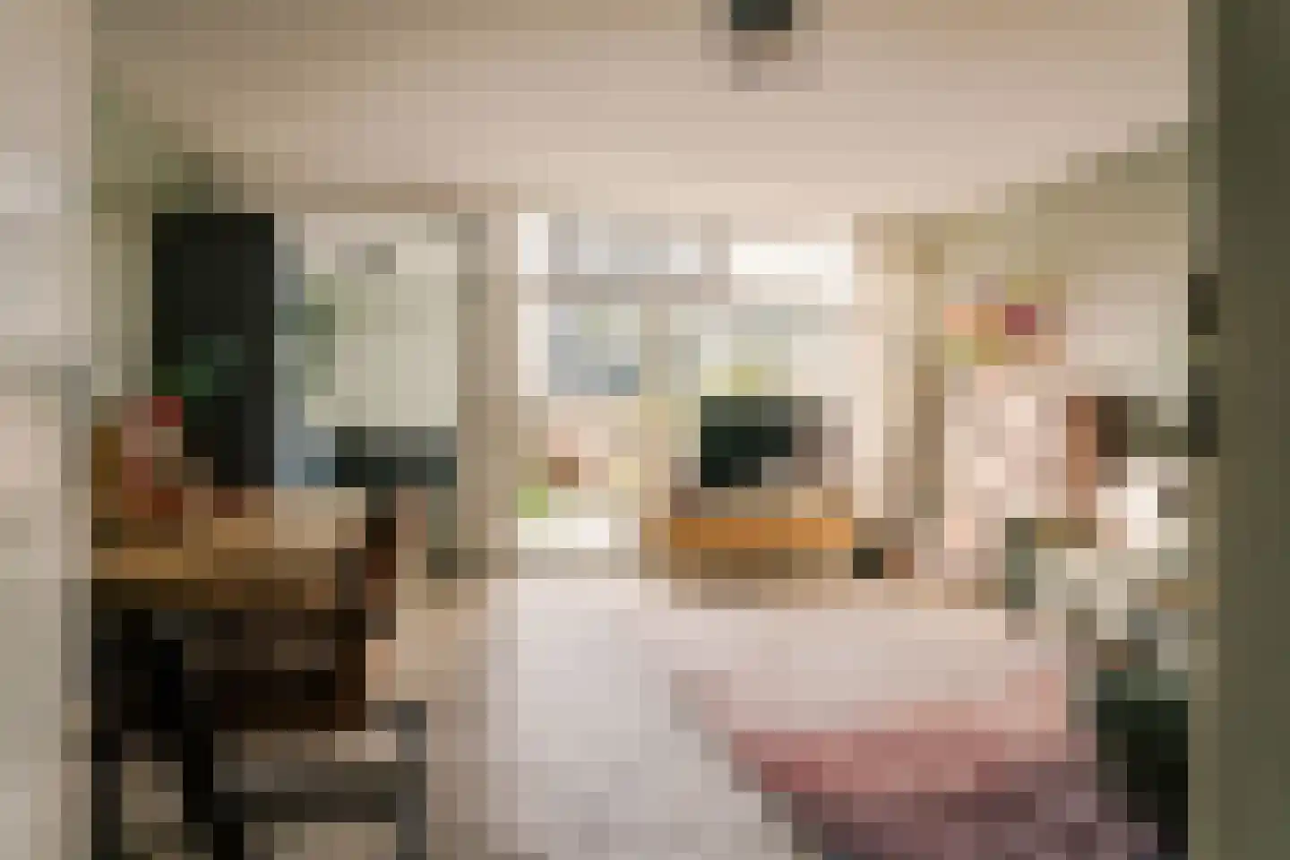 Weldam 72 Haarlem thumbnail 8