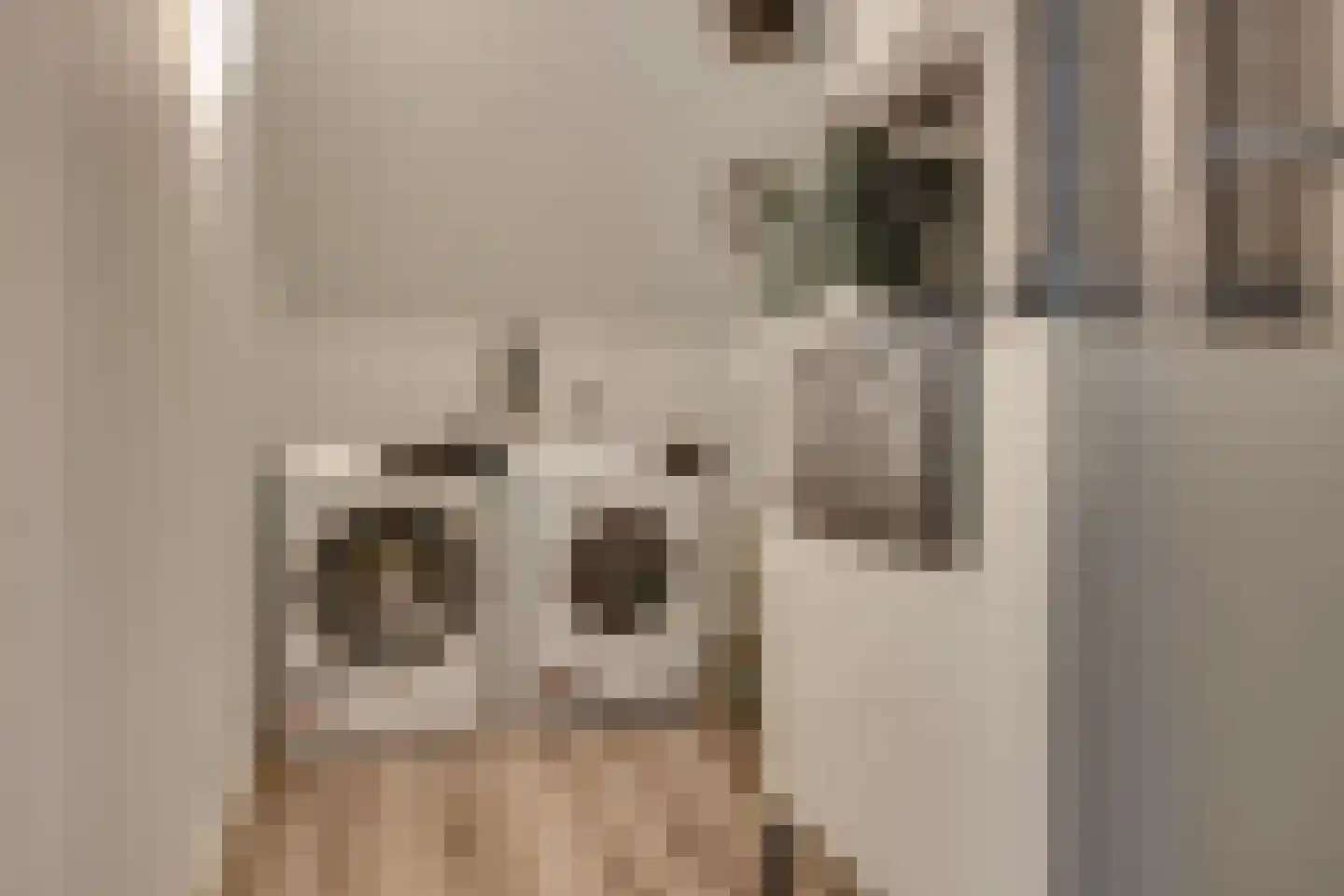 Weldamhof 5 Leusden thumbnail 23