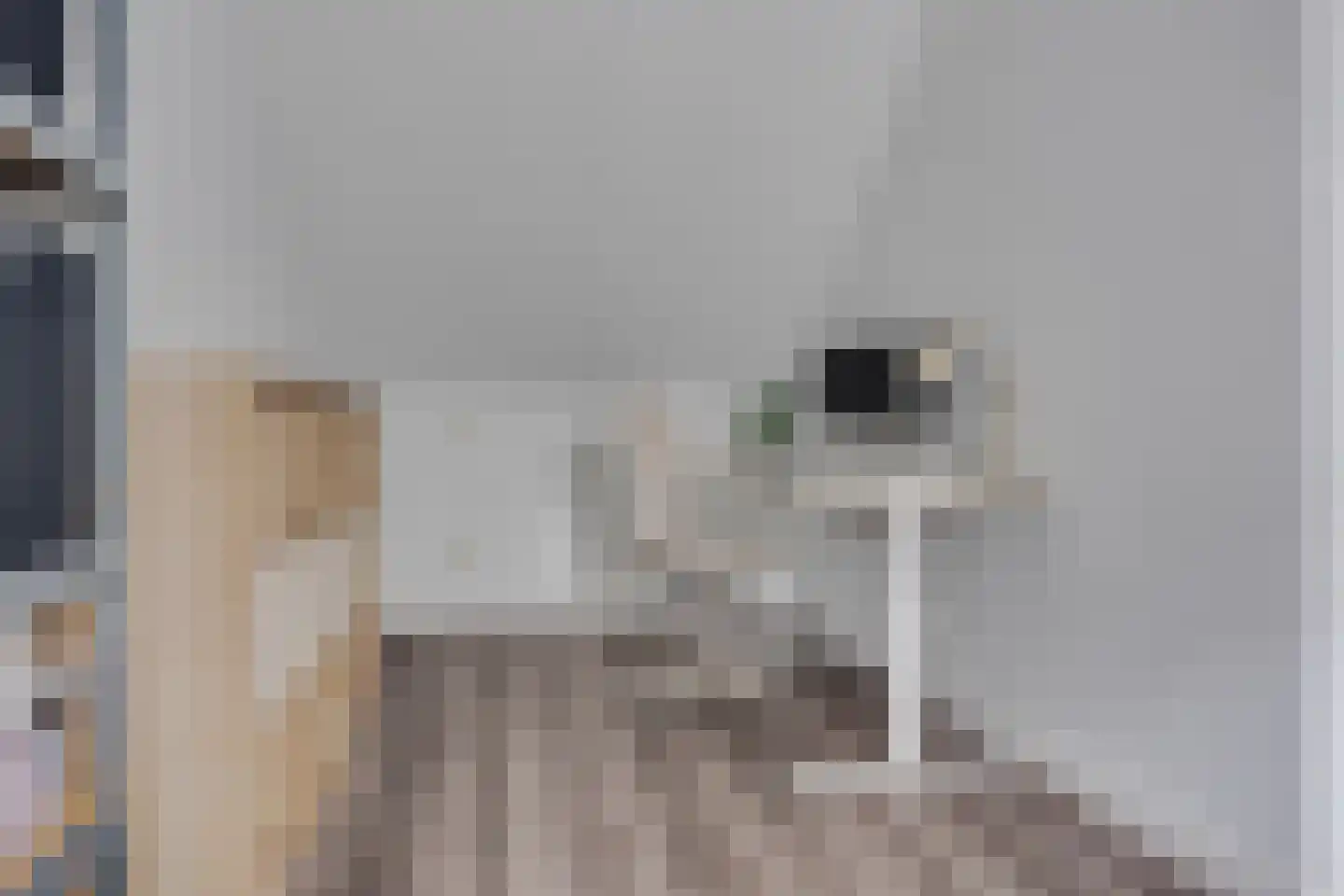 Weldamhof 5 Leusden thumbnail 26
