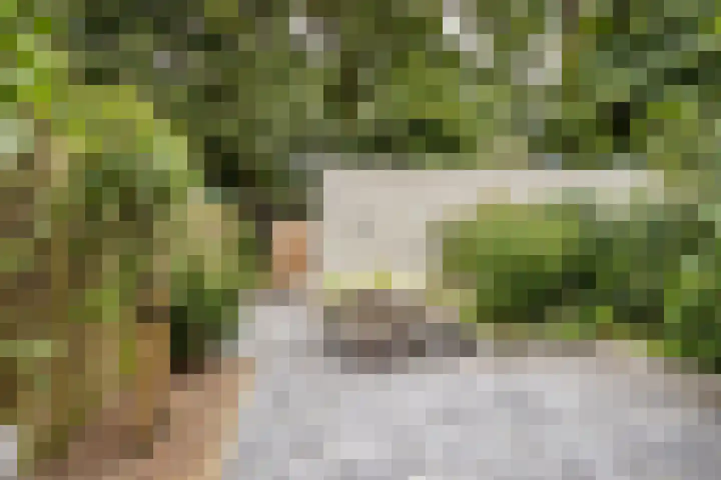 Weldamhof 5 Leusden thumbnail 29