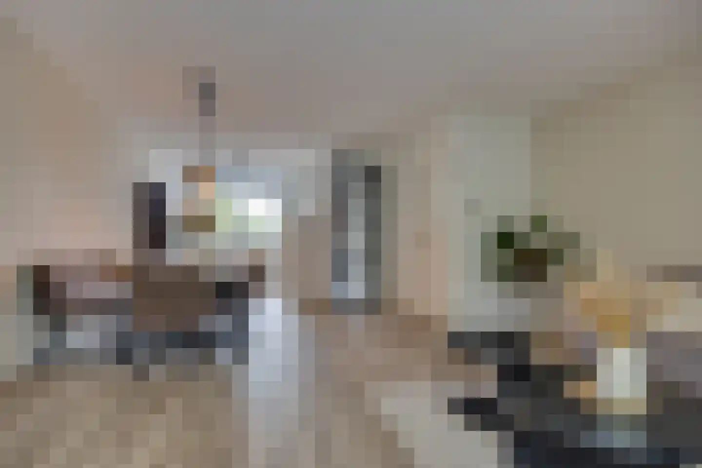 Weldamhof 5 Leusden thumbnail 8