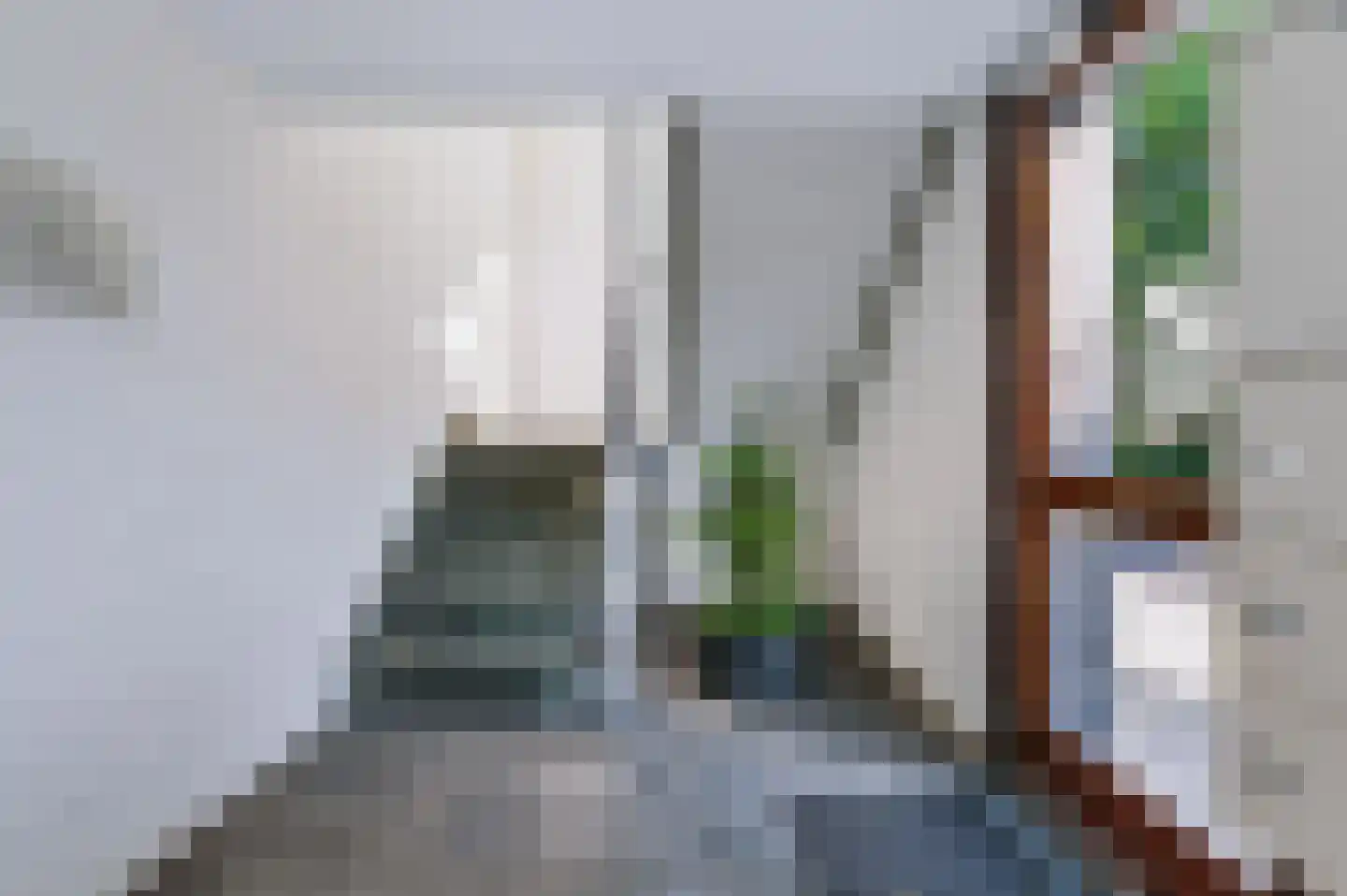 Weldamlaan 30 Arnhem thumbnail 15