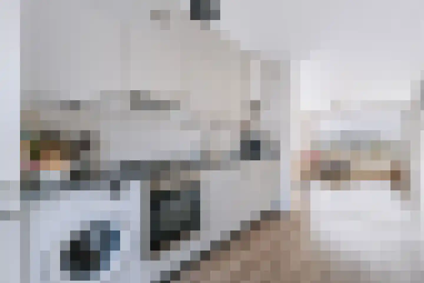 Weldamlaan 30 Arnhem thumbnail 29