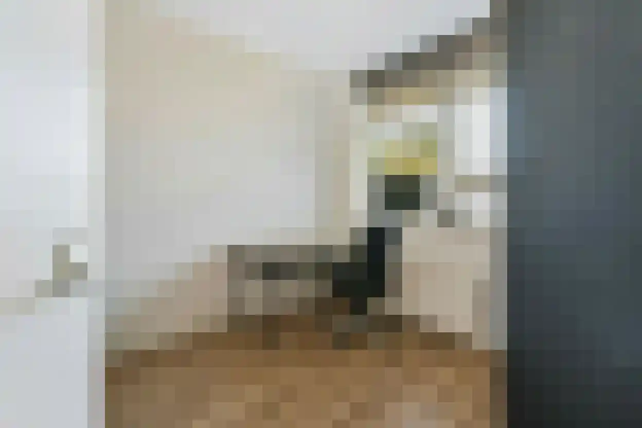 Weldamlaan 30 Arnhem thumbnail 34