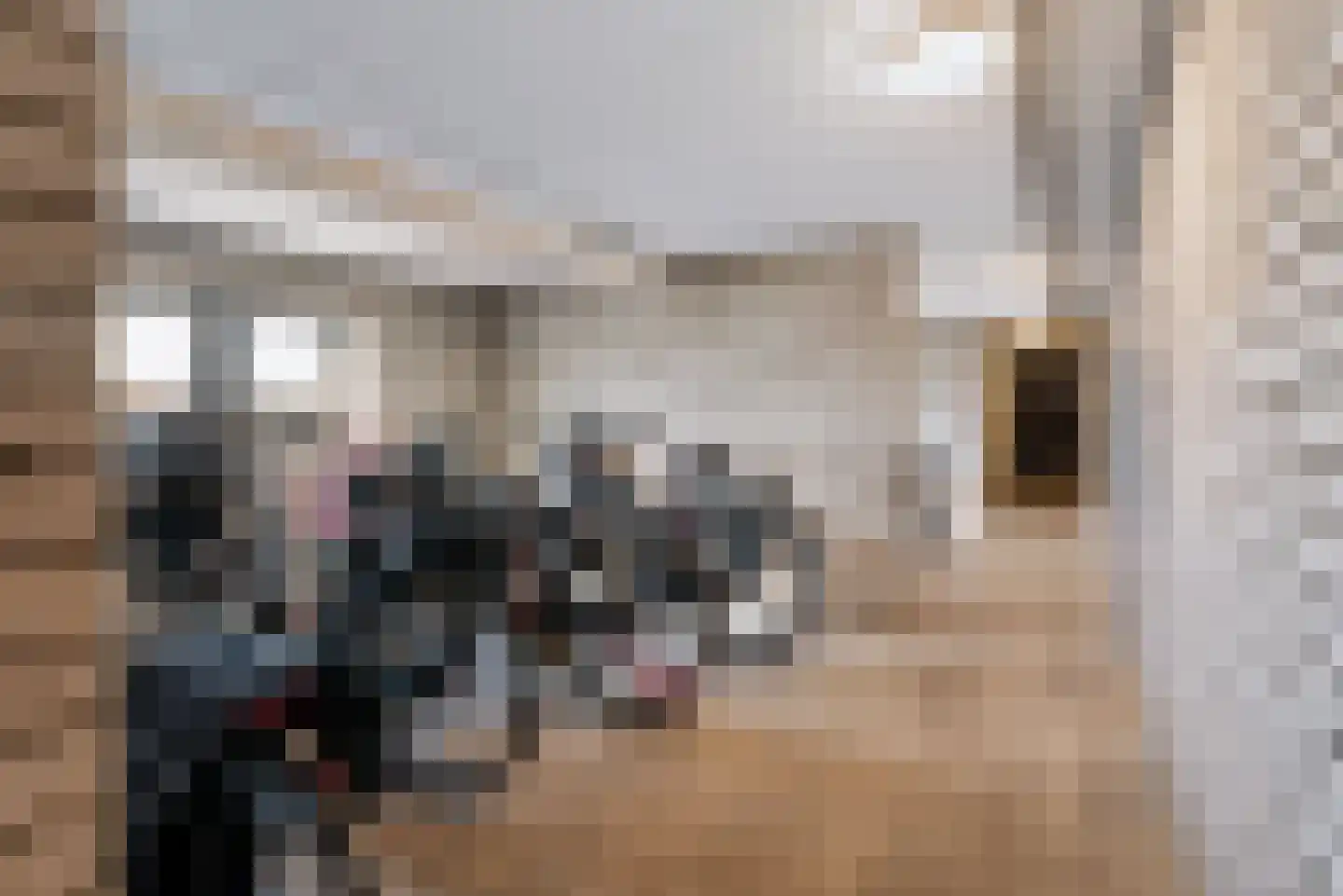 Weldamlaan 30 Arnhem thumbnail 42