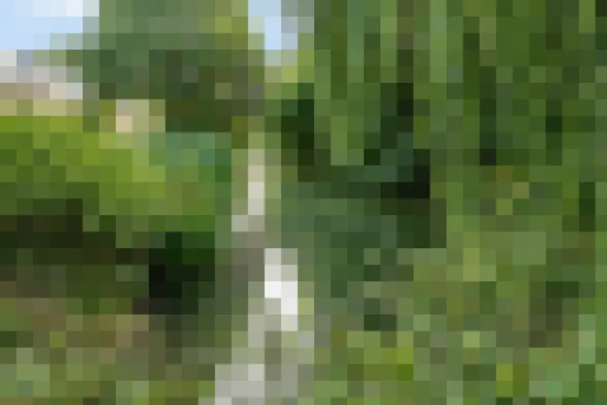 Weldamlaan 30 Arnhem thumbnail 44