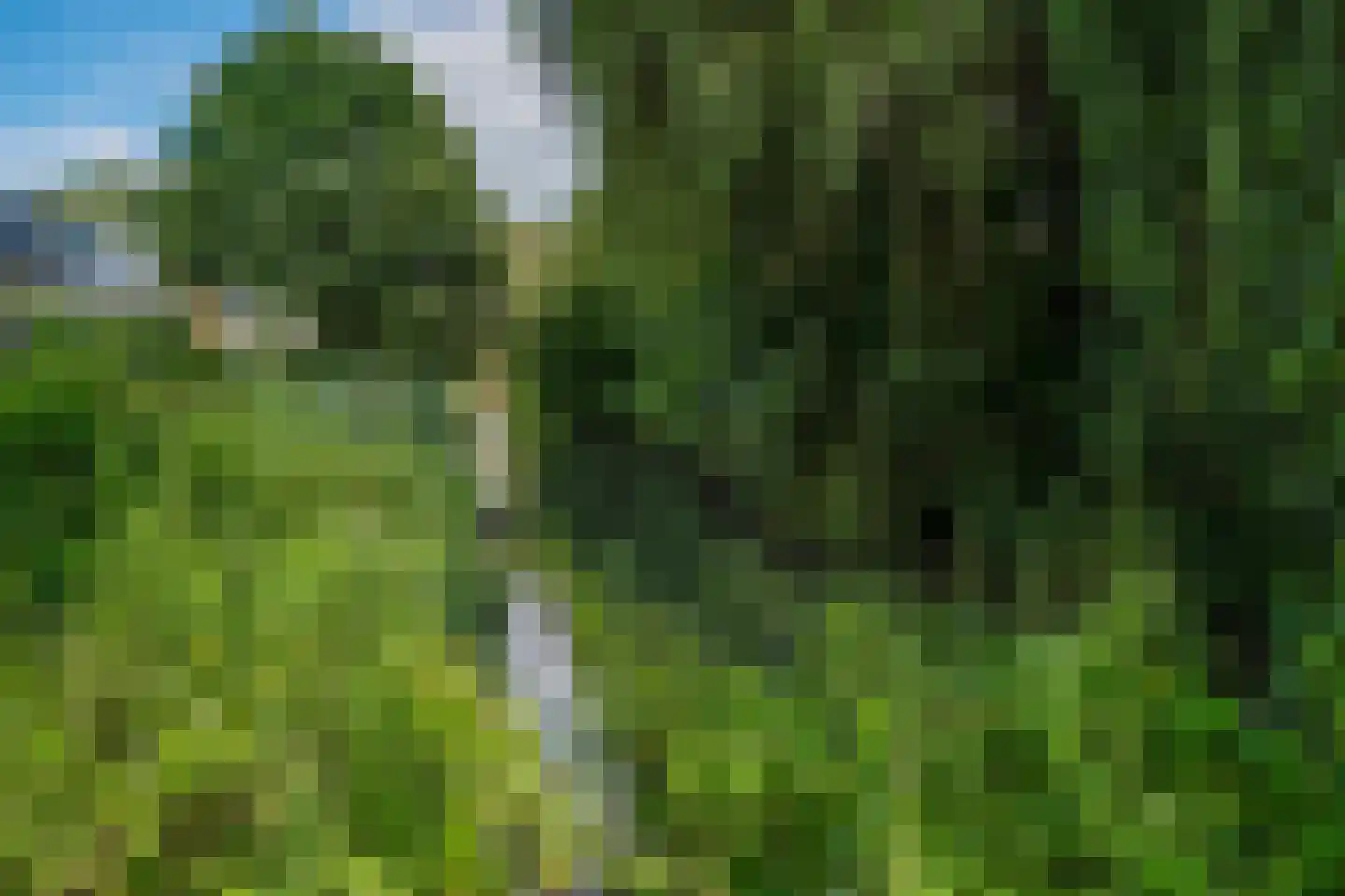 Weldamlaan 30 Arnhem thumbnail 45
