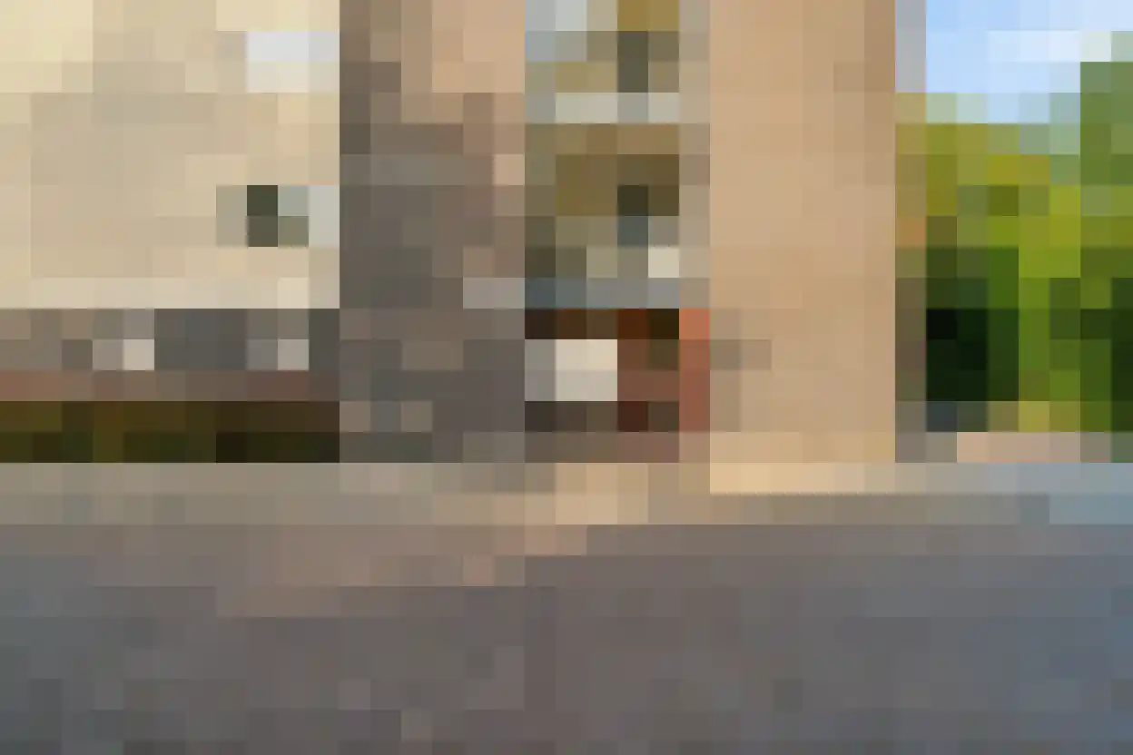 Weldamlaan 30 Arnhem thumbnail 5