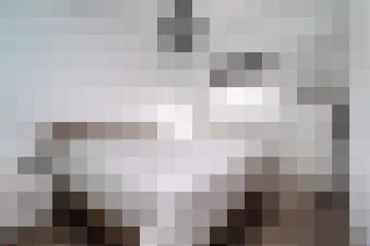Weldamsingel 14 Rotterdam thumbnail 16