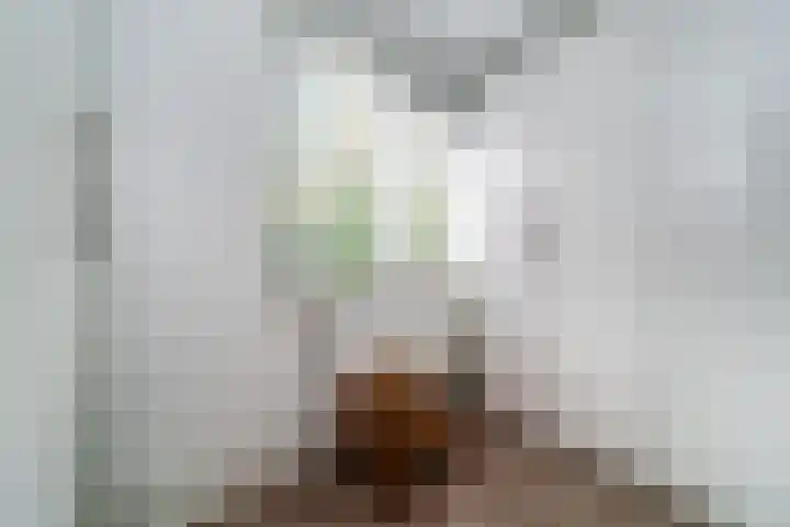 Weldamsingel 14 Rotterdam thumbnail 18