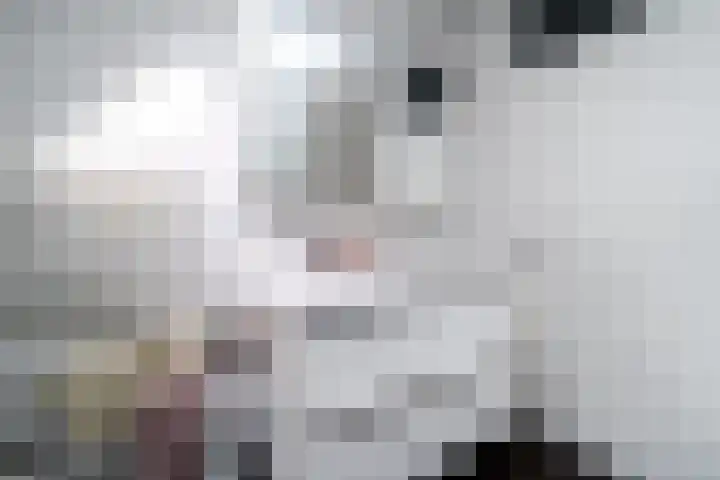 Weldamsingel 14 Rotterdam thumbnail 20