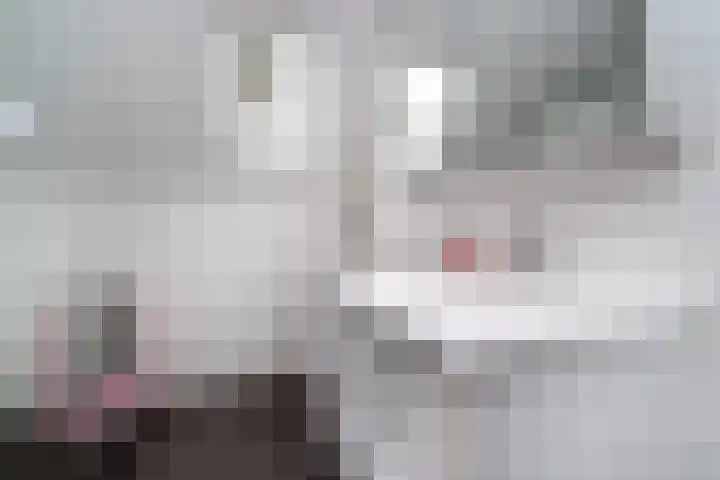 Weldamsingel 14 Rotterdam thumbnail 22
