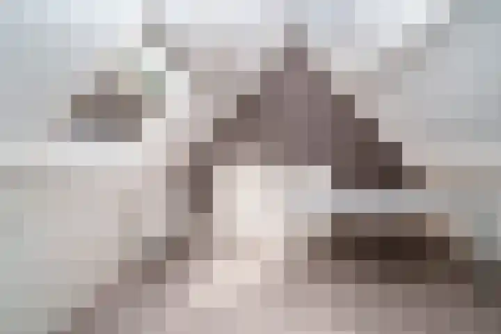Weldamsingel 14 Rotterdam thumbnail 23