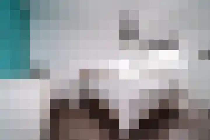 Weldamsingel 14 Rotterdam thumbnail 4