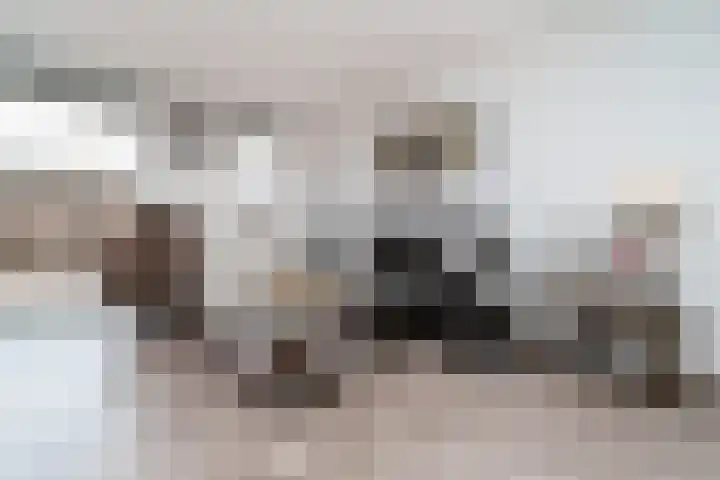 Weldamsingel 14 Rotterdam thumbnail 8