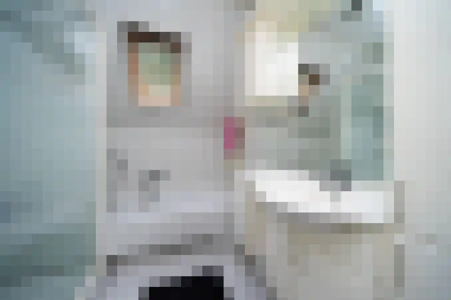Weldamsingel 30 Rotterdam thumbnail 5