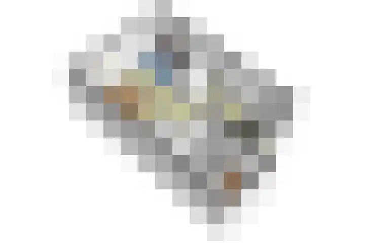 Weldamsingel 36 Rotterdam thumbnail 31