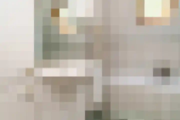 Weldamsingel 36 Rotterdam thumbnail 5