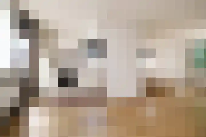 Weldamsingel 36 Rotterdam thumbnail 9