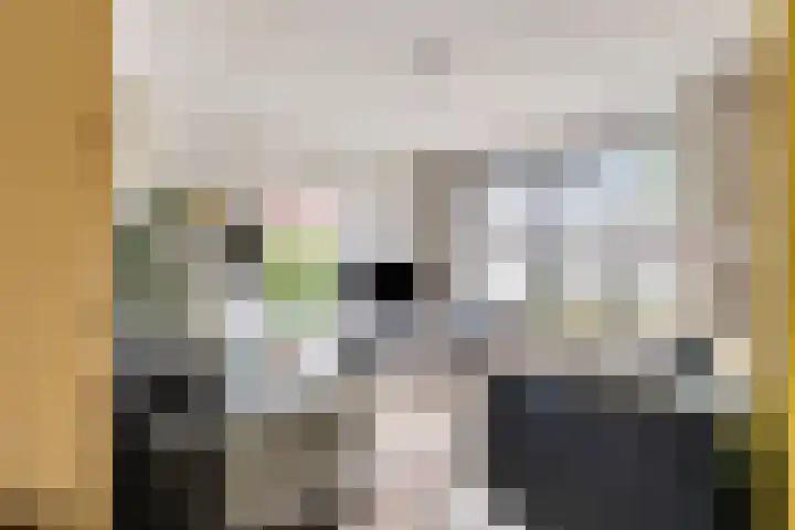 Weldscamp 2 Zevenaar foto 2