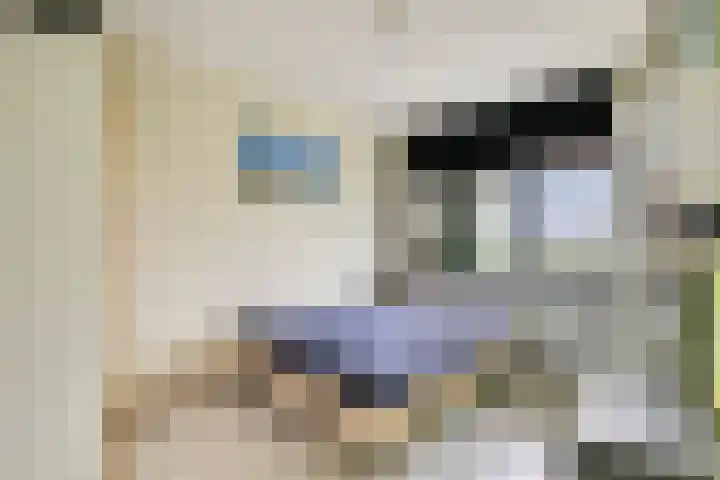 Weldscamp 2 Zevenaar thumbnail 20