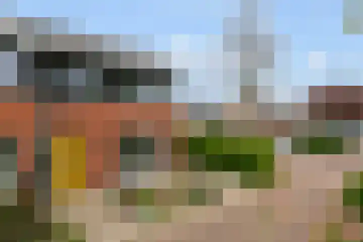 Weldscamp 2 Zevenaar thumbnail 25
