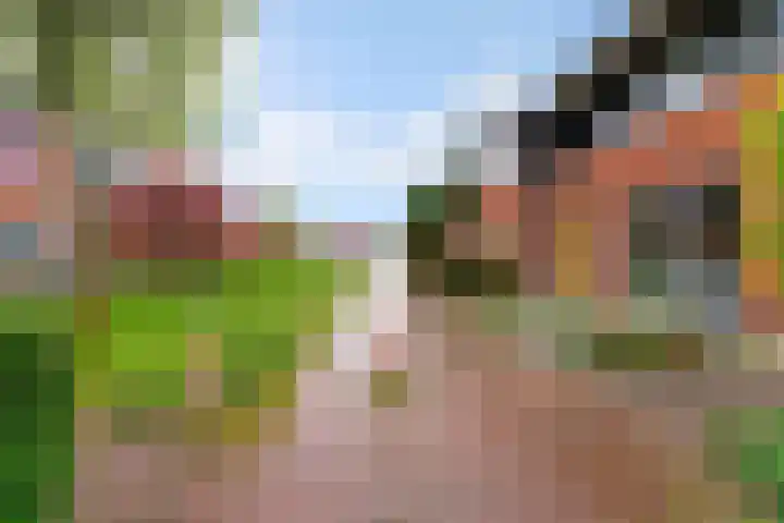 Weldscamp 2 Zevenaar thumbnail 26