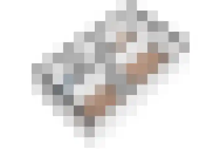 Weldscamp 2 Zevenaar thumbnail 40
