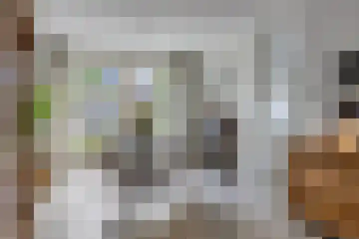 Weldsehei 6 Veldhoven thumbnail 15