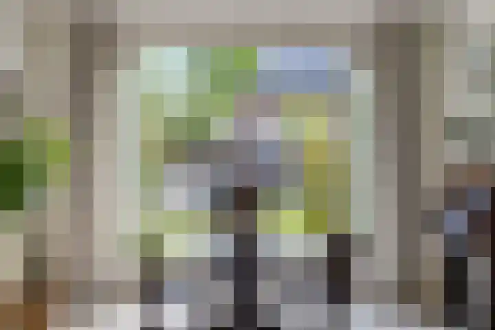 Weldsehei 6 Veldhoven thumbnail 16