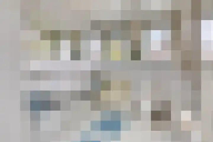 Weldsehei 6 Veldhoven thumbnail 26