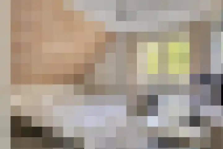 Weldsehei 6 Veldhoven thumbnail 27