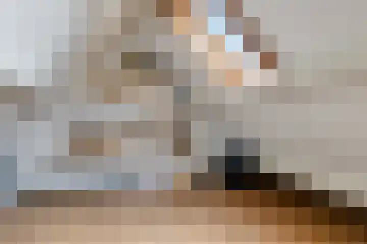 Weldsehei 6 Veldhoven thumbnail 30