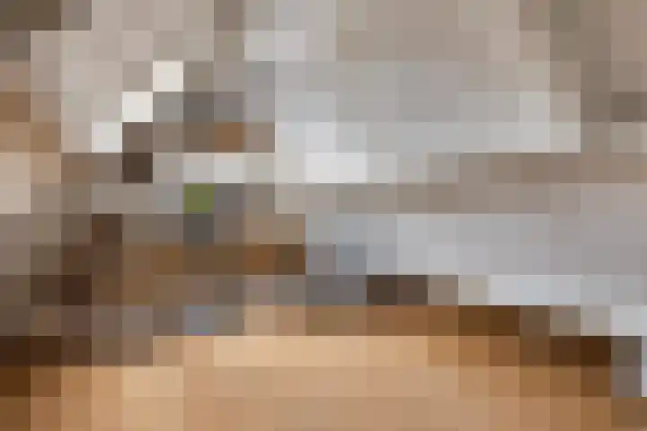 Weldsehei 6 Veldhoven thumbnail 31