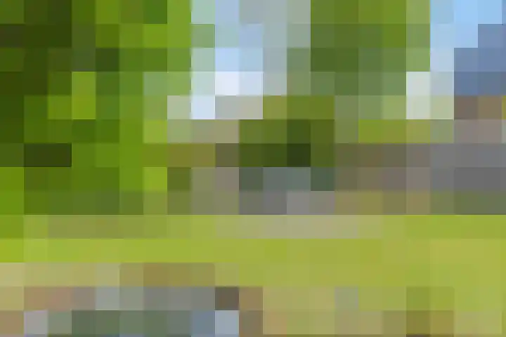 Weldsehei 6 Veldhoven thumbnail 32