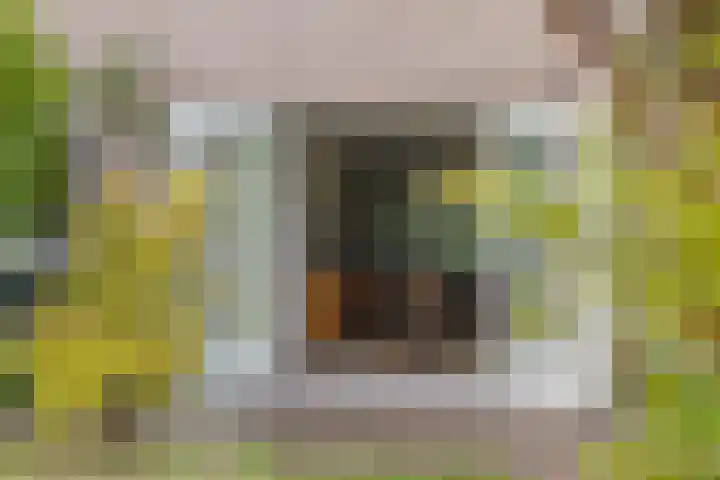 Weldsehei 6 Veldhoven thumbnail 35