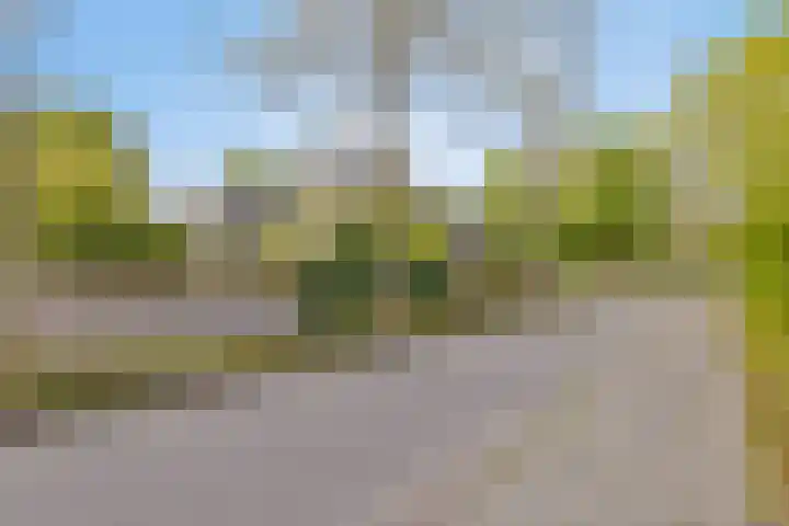Weldsehei 6 Veldhoven thumbnail 37
