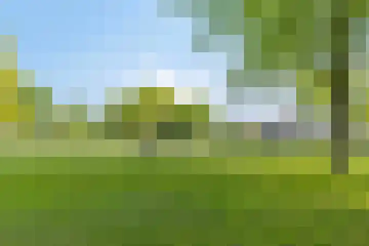 Weldsehei 6 Veldhoven thumbnail 38